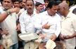 Meat ban: Sena, MNS hit streets, HC sounds critical note